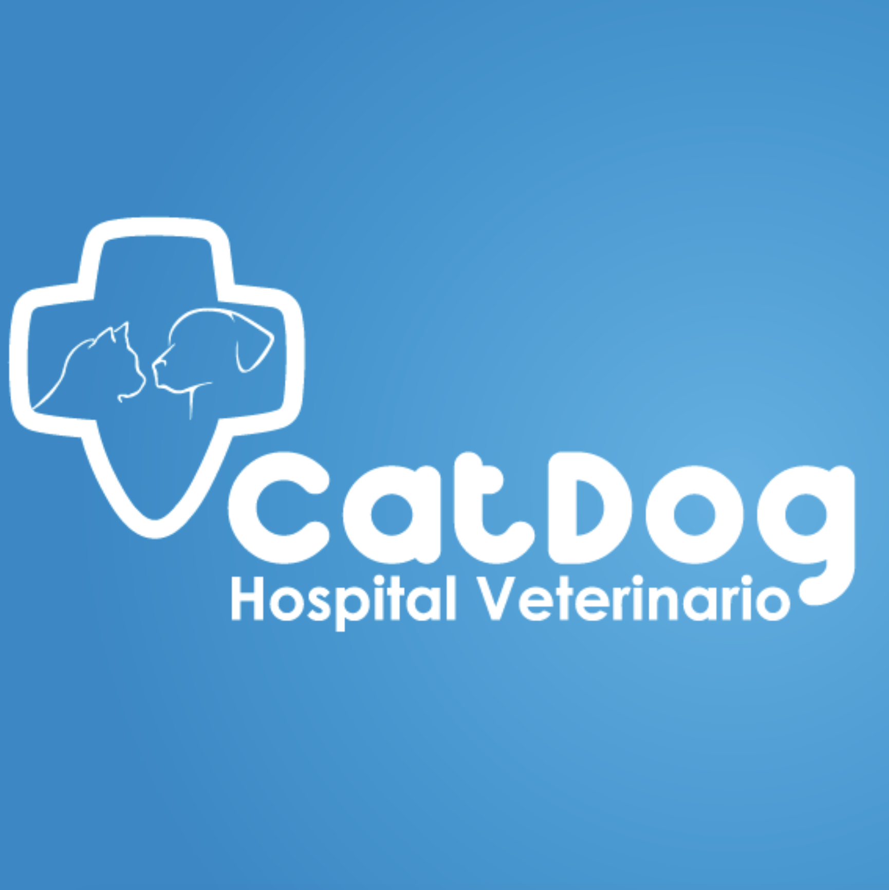 Cat Dog